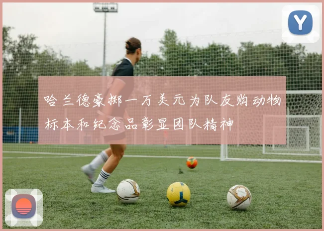 哈兰德豪掷一万美元为队友购动物标本和纪念品彰显团队精神